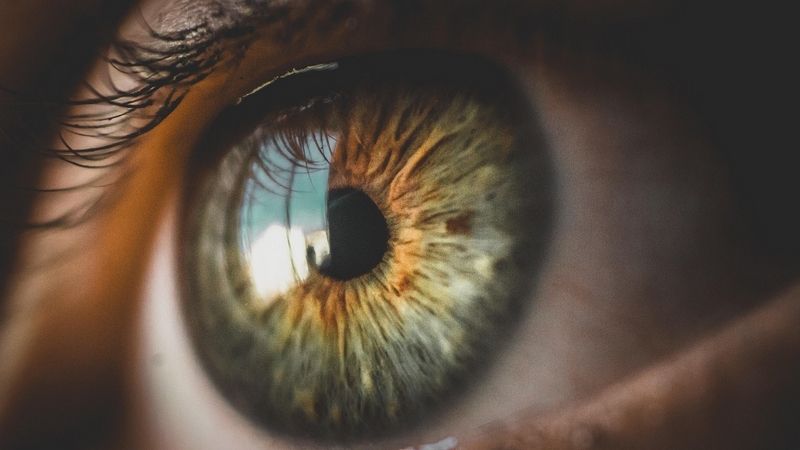 Comment préserver la santé de ses yeux naturellement ?