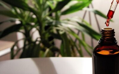 La supplémentation en vitamine D pour toustes, à tout âge